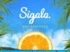 ALBUM Sigala – Brighter Days > czy warto posłuchać? Nie zawiedziesz się! Album Sigala Brighter Days
