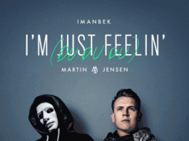 imanbek martin jensen i'm just feelin'