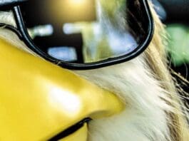 El Capon shut up chicken