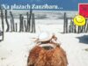 Na plażach Zanzibaru – Grzegorz Turnau … tanecznie! na plażach zanzibaru grzegorz turnau yantimer