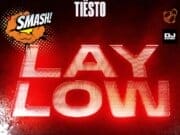 LAY LOW – Tiesto z pomysłem zaciera granice gatunków Lay low tiesto musical freedom