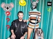 KOALA😄czy to taneczny kawałek o uroczym zwierzątku z Australii? KOALA Galantis
