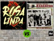 ROSA LINDA Samuele Sartini zamienia salsę w przyjemny house 'Rosa linda' samuele sartini